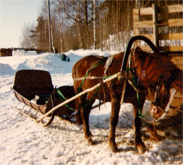 Ulin-Tuuli