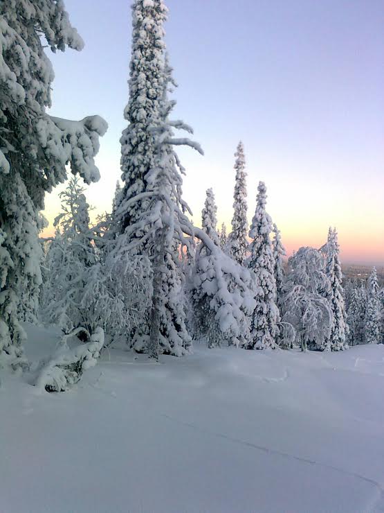 jouluseimi2